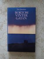 Bortom Vintergatan