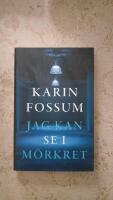 Jag kan se i m&ouml;rkret