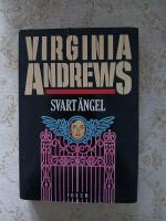 Svart &auml;ngel