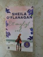 Ett om&ouml;jligt val