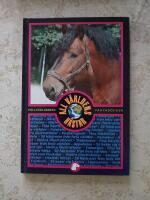 All v&auml;rldens h&auml;star