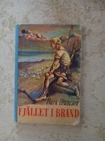 Fj&auml;llet i brand