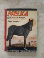 MELKA en arabisk ungh&auml;st (nr:34)