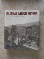 Bilden av Sveriges historia : fyrtio s&auml;tt att se p&aring; 1900-talet