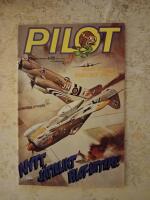 Pilot nr: 10/1979 (FN+) (8229)