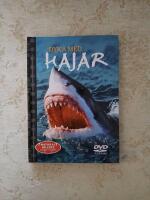 Dyka med hajar (4909)