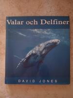 Valar och Delfiner