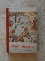 Nybygget i Lappmarken (nr:324)