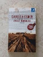 Fruset &ouml;gonblick