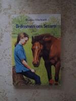 Dr&ouml;mmen om Sesam