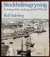 Stockholmsgryning - en fotografisk vandring p&aring; Karl XV:s tid