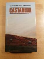 En annorlunda verklighet