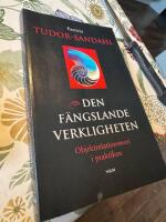 Den f&auml;ngslande verkligheten