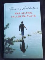 N&auml;r allting faller p&aring; plats : en bok om att finna mening