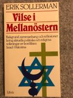 Vilse i Mellan&ouml;stern : [bakgrund, sammanhang och reflexioner kring aktuella politiska och religi&ouml;sa tolkningar av konflikten Israel-Palestina]