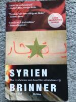 Syrien brinner : hur revolutionen mot Assad blev ett inb&ouml;rdeskrig