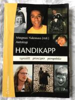 Handikapp - syns&auml;tt principer perspektiv
