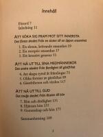 Att s&ouml;ka en helhet