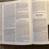 Nya religioner : en uppslagsbok om andliga r&ouml;relser, sekter och alternativ andlighet