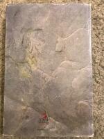 Kristnandet i Sverige - gamla k&auml;llor och nya perspektiv = The Christianization in Sweden : old sources and new perspectives