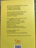 Att &auml;lska Sverige tillbaka till Gud : Paulus brev till svenskarna med kopia till Rom