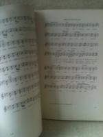 Negro spirituals - En bok om ursprunglig folks&aring;ng