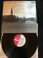 F&aring;glarna Och K&auml;llorna  - 7 orgelstycken av Messiaen, Vivaldi, Bach o.a. p&aring; V&aring;nga orgel i &Ouml;sterg&ouml;tland spelade av Bengt Berg