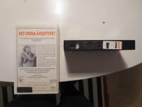 Det stora &auml;ventyret