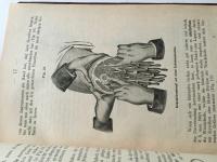 Handbuch der Kriegschirurgischen Technik