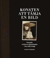 Konsten att t&auml;mja en bild. Fotografiet och l&auml;sarens uppm&auml;rksamhet i 1800-talets Sverige