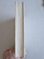 Sj&auml;lvst&auml;ndighetsdagen : [roman]