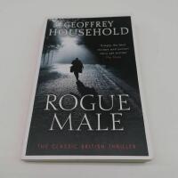 Rogue Male