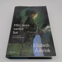 Mitt stora vackra hat : en biografi &ouml;ver Victoria Benedictsson