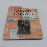 Mera gata upp och gata ner : m&auml;nniskor och milj&ouml;er i Stockholm f&ouml;rr och nu