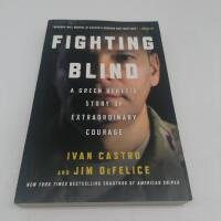 Fighting blind - a green berets story of extraordinary courage