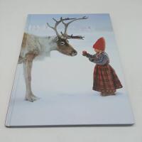 The christmas wish