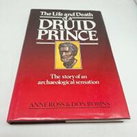 The life and death of a Druid prince - the story of an archaeological sensation