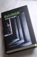 Reinfeldt : ensamvargen