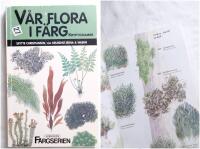 V&aring;r flora i f&auml;rg. Kryptogamer