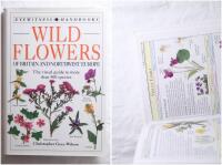 Wild Flowers : of Britain and Northwest Europe
