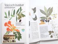 Tr&auml;d och buskar vid Medelhavet