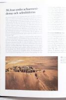 Arkeologi : det internationella standardverket om utgr&auml;vningar, fynd och metoder