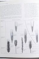 Arkeologi : det internationella standardverket om utgr&auml;vningar, fynd och metoder