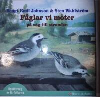 F&aring;glar vi m&ouml;ter p&aring; v&auml;g mot stranden