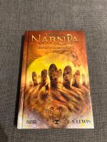 H&auml;sten och hans pojke