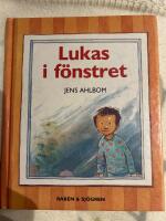 Lukas i f&ouml;nstret
