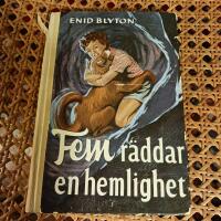 Fem r&auml;ddar en hemlighet