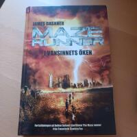 Maze runner. I vansinnets &ouml;ken