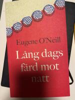 Lång dags färd mot natt