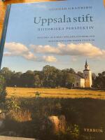 Uppsala stift - historiska perspektiv : om kyrka och tro i Uppland, G&auml;strikland och H&auml;lsingland under tusen &aring;r
